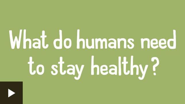 video healthy