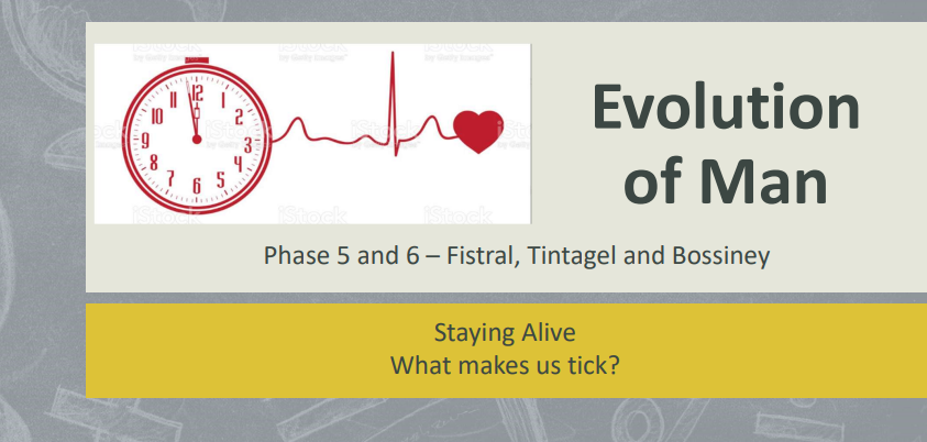 Staying Alive Year 5/6 Flipbook