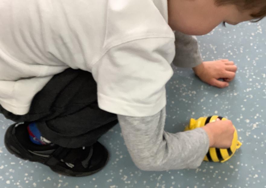 bee4