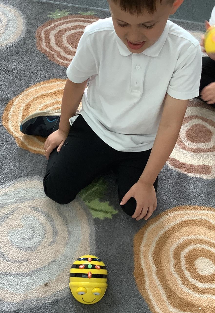 bee3