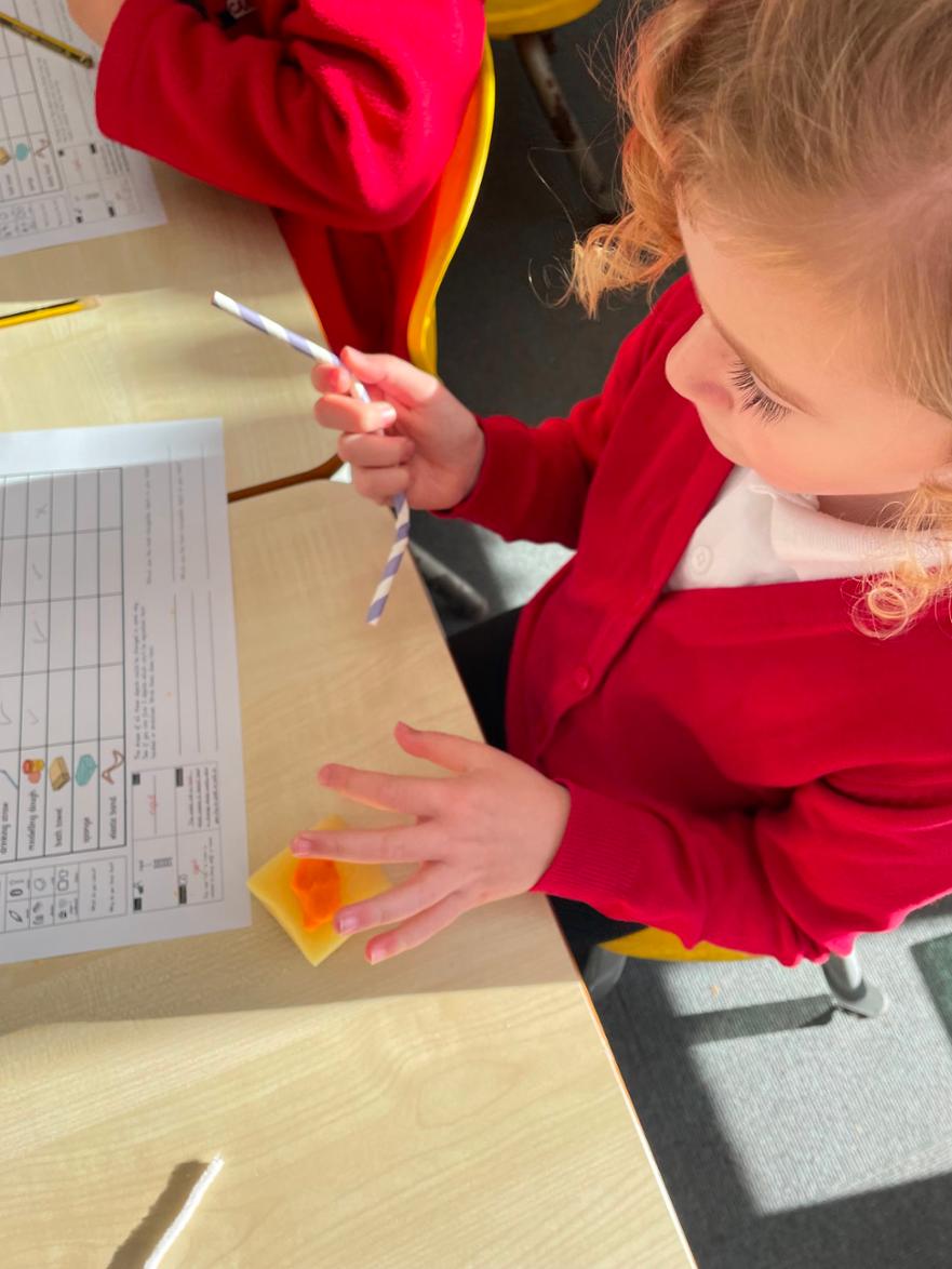 IMG_9385 