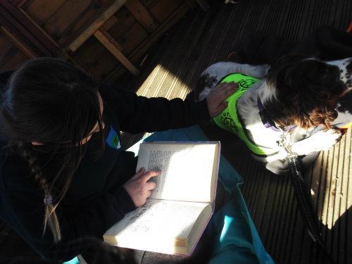 1627086_l 