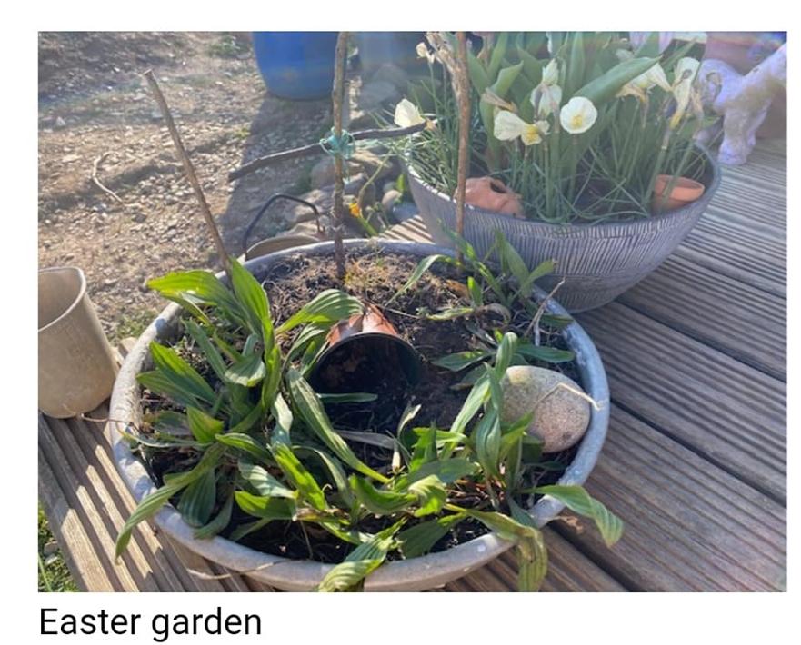 eastr garden