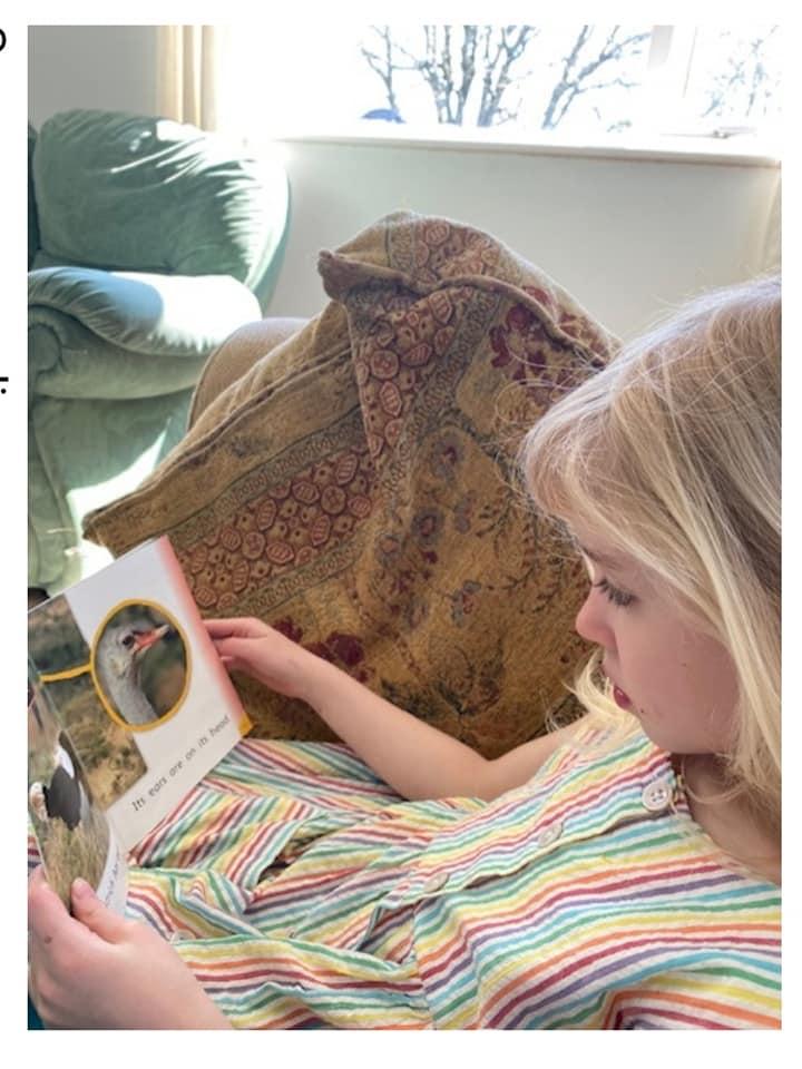 reading nellie